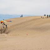 Jockey's Ridge State Park