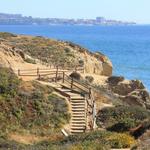 Torrey Pines State Reserve