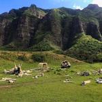 Kualoa Ranch