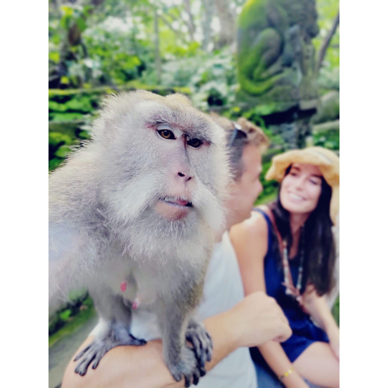 Bali Monkey Selfie