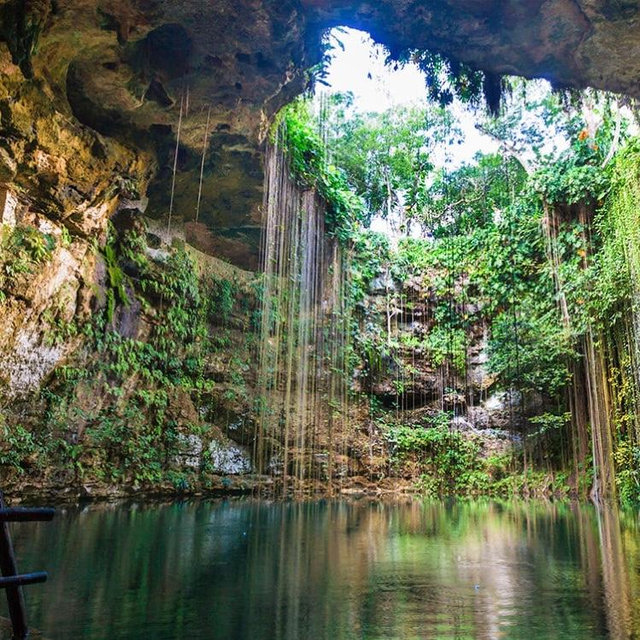 Visita a cenote/Visit to Cenote