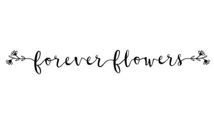 Footer image