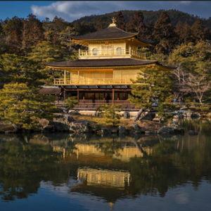 Temple & Shrine Visits