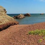 Horseshoe Harbor Hike or Bike