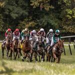 Foxfield Racing LLC