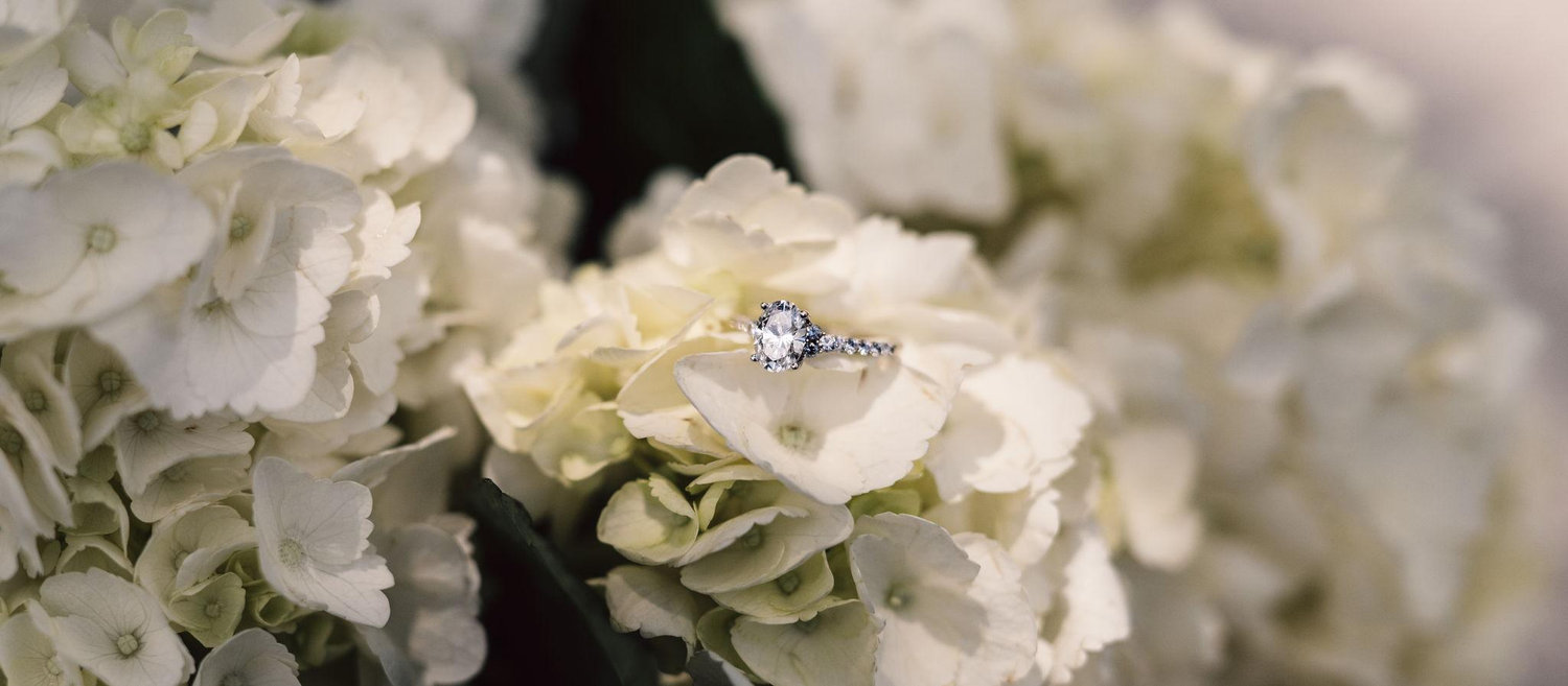 The Wedding Website of Ashley Munoz and Max Marino