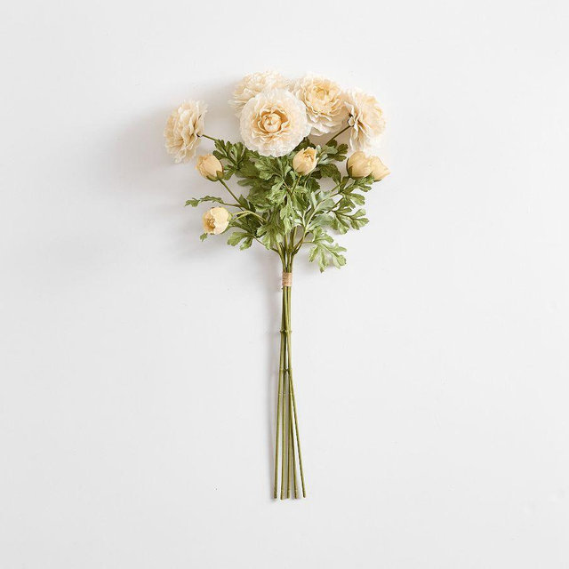 Cream Ranunculus Bundle 24", 5 Stem