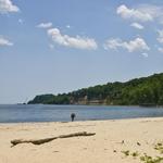 Flag Ponds Nature Park