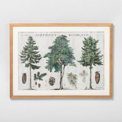 Woodland Trees Framed Art - Hearth & Hand™ with Magnolia