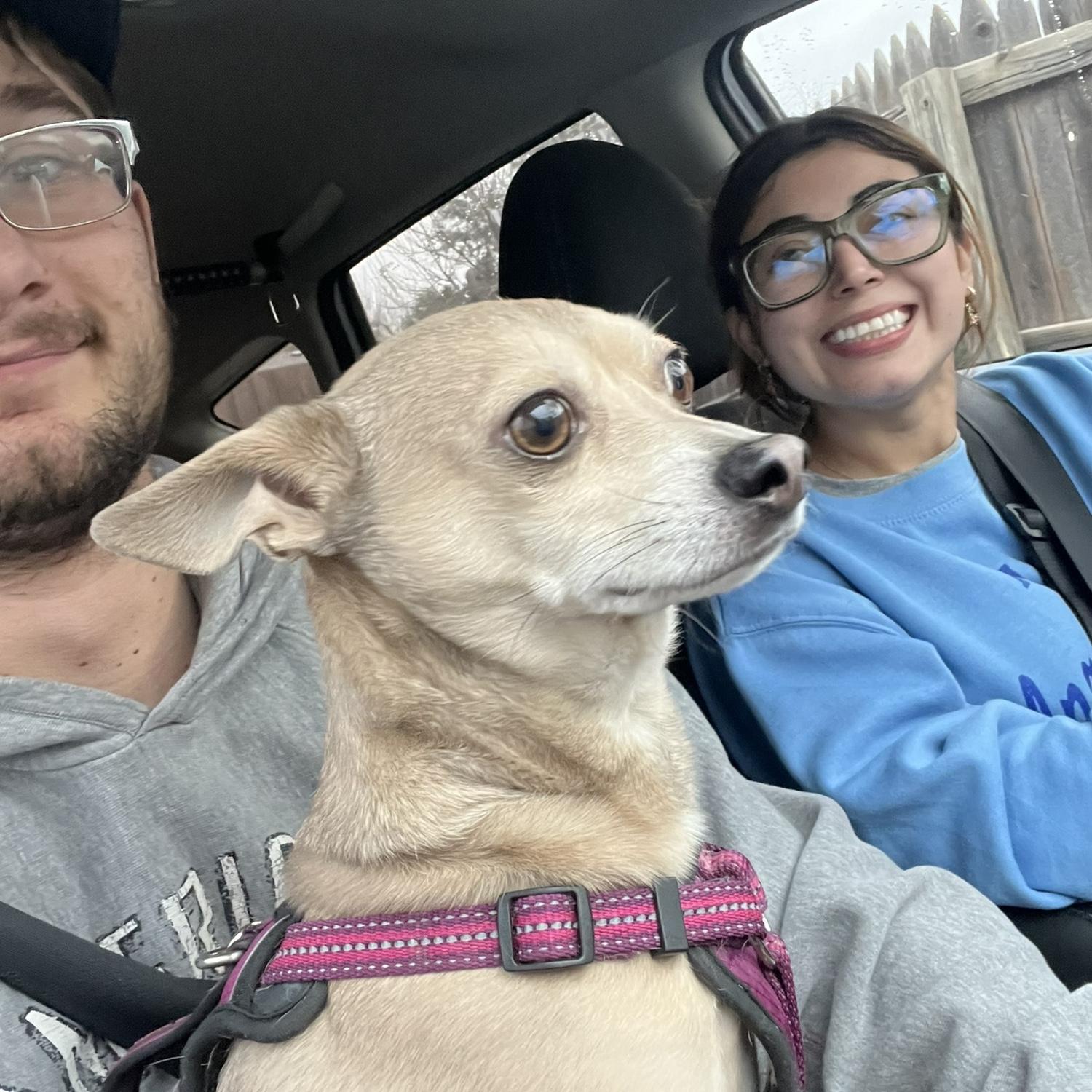 ROADTRIP - pavo