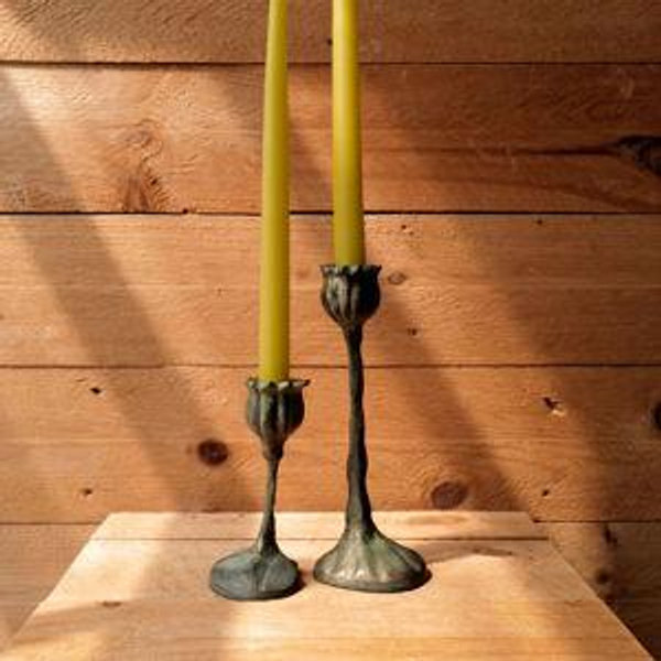 Bronze Botanical Candlestick - Small Poppy