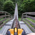 Georgia Mountain Coaster