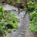 Retzer Nature Center