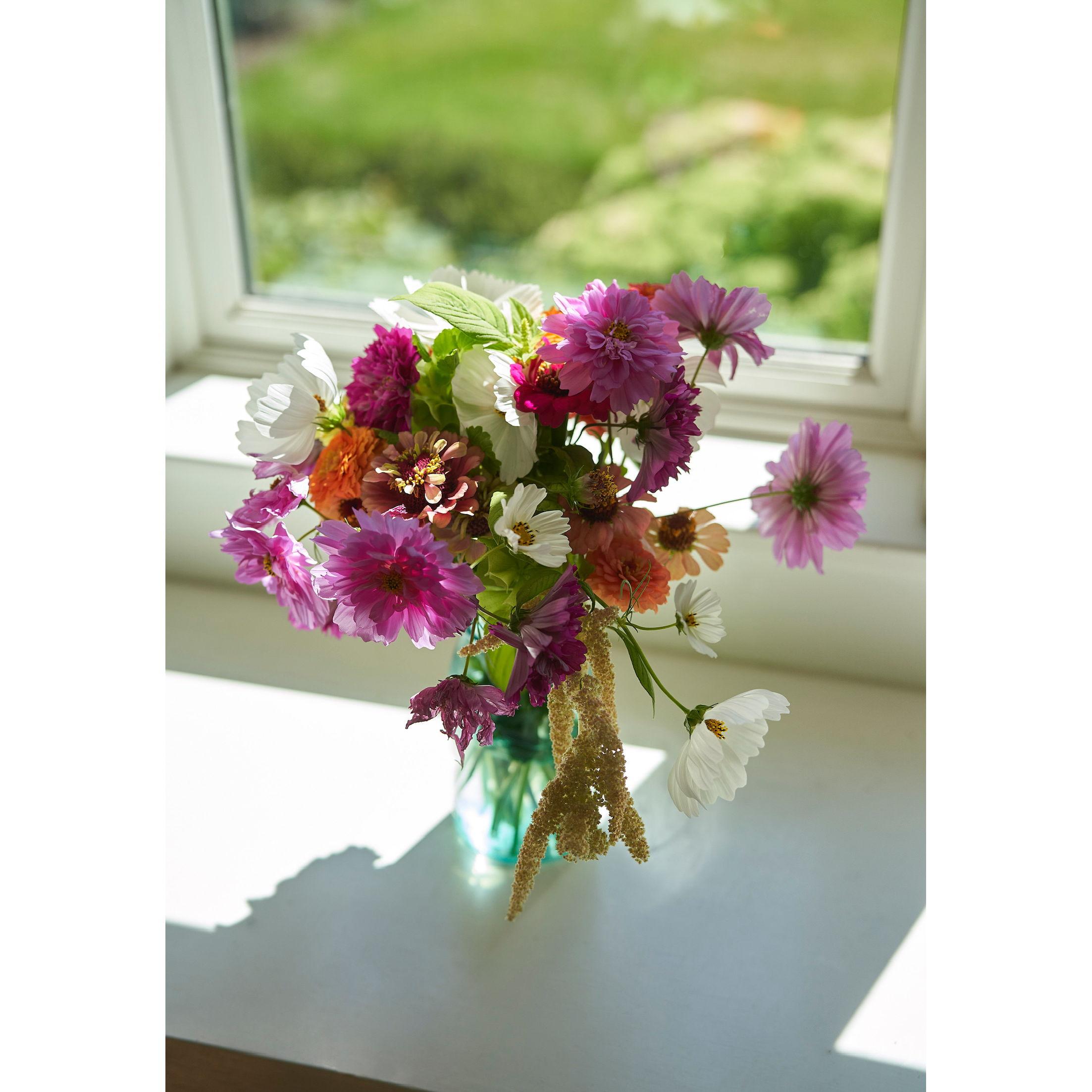 Homegrown flowers from the garden (2022)