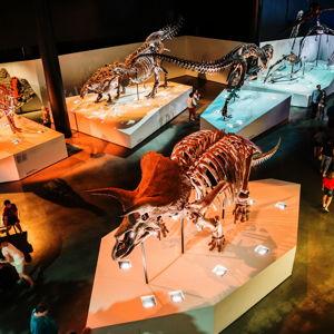 Museum of Natural Science Membership