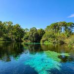 Weeki Wachee Spring