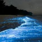 Bahía Bioluminiscente