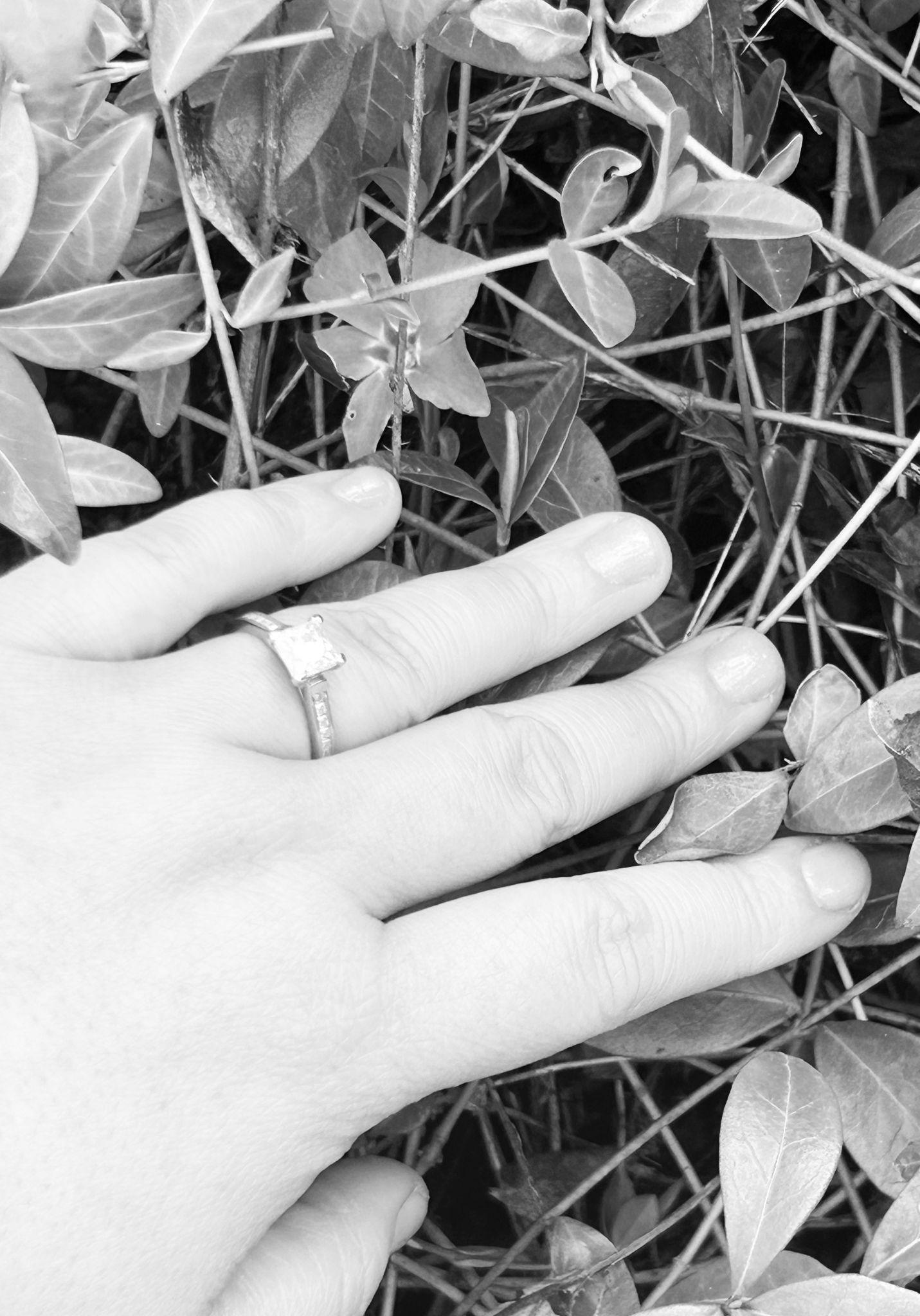 The Wedding Website of Tashina Kimble and Taylor Brown