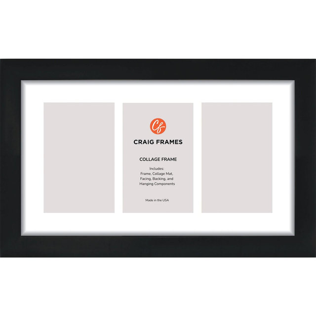 Craig Frames 8x14 Inch Collage Picture Frame, Gallery Black, Contemporary, Glass Facing and Sawtooth Hanger Included, 4x6 Photos