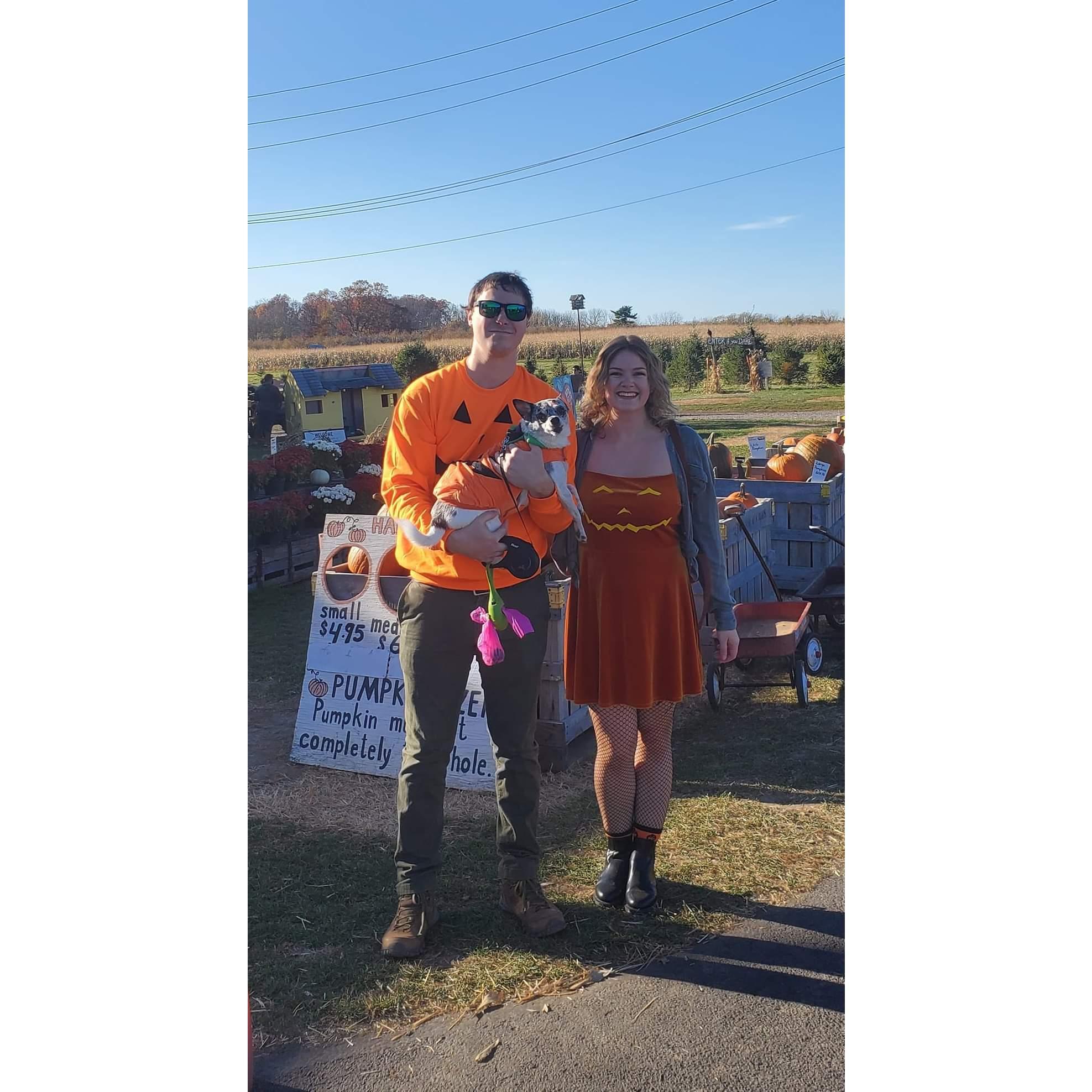 Another favorite family Halloween costume :)