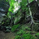 Panama Rocks