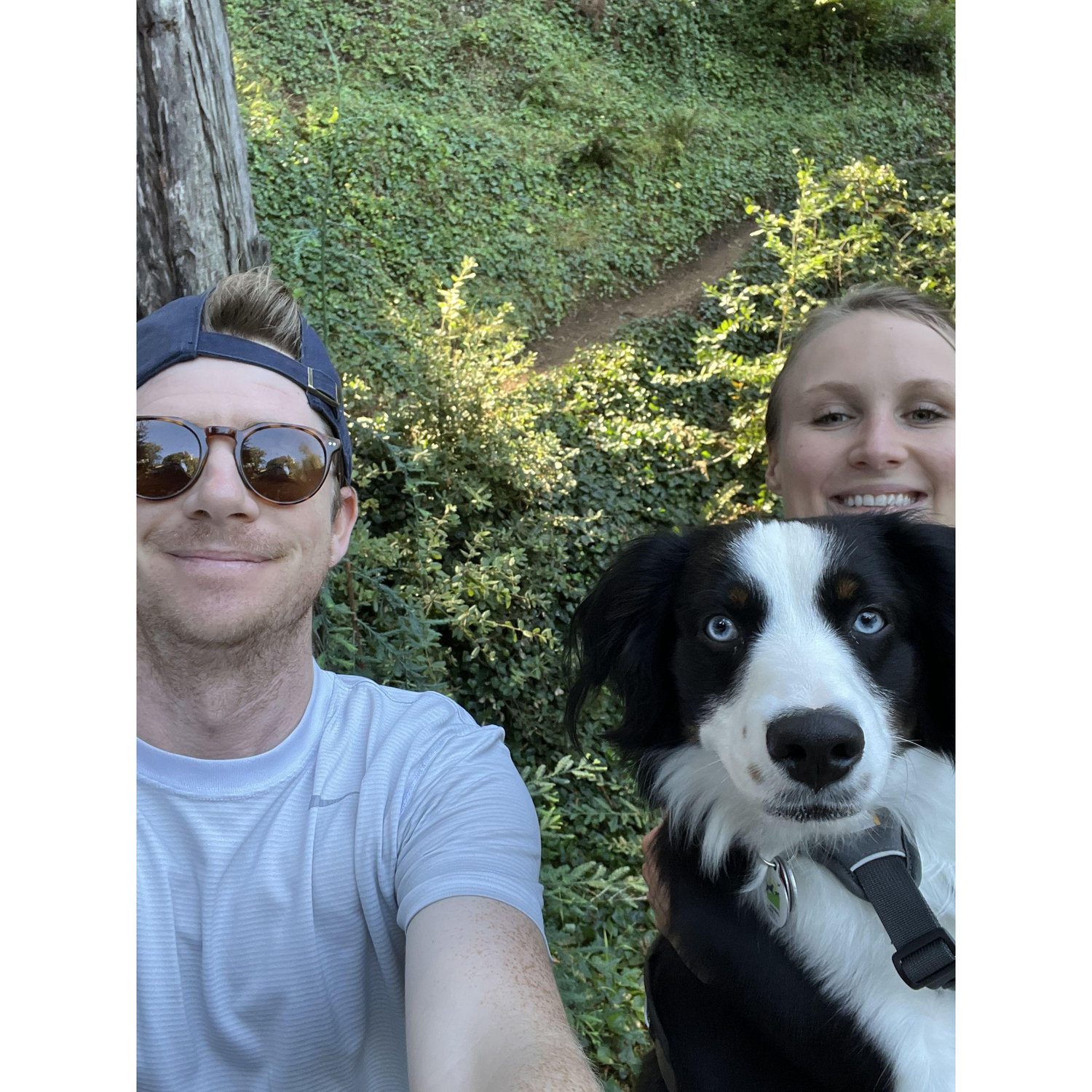 Topaz's first big hike. Big fan.