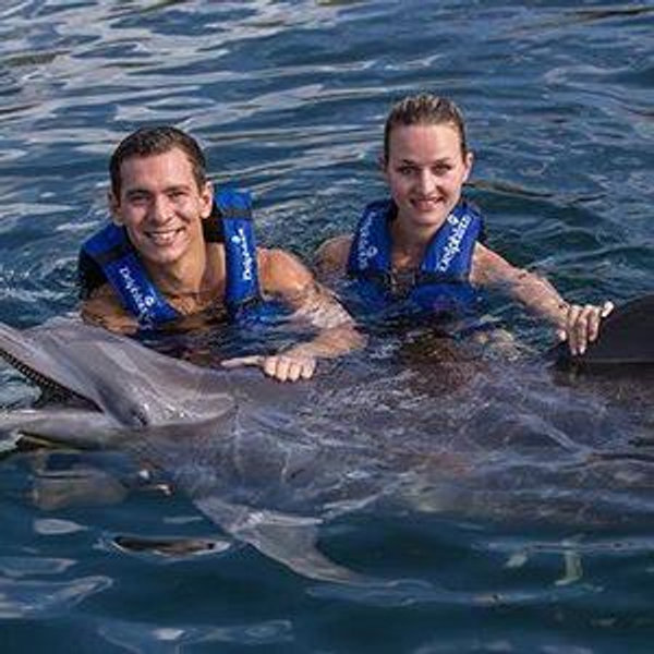 Dolphin Encounter in Cozumel
