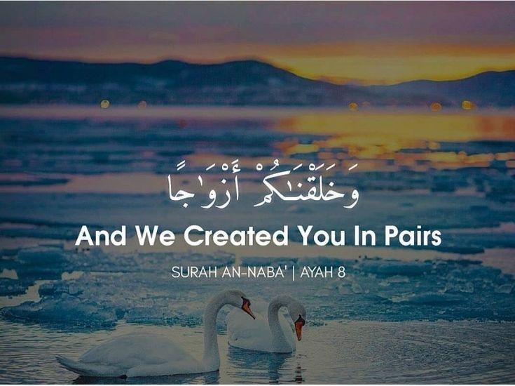 The Wedding Website of Ejaz Ahmad and Hanna Rahman
