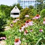 The State Botanical Garden of Georgia