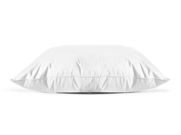Parachute King Down Alternative Pillow