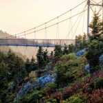 Grandfather Mountain