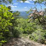 Arkaquah Trail