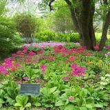 Berkshire Botanical Garden