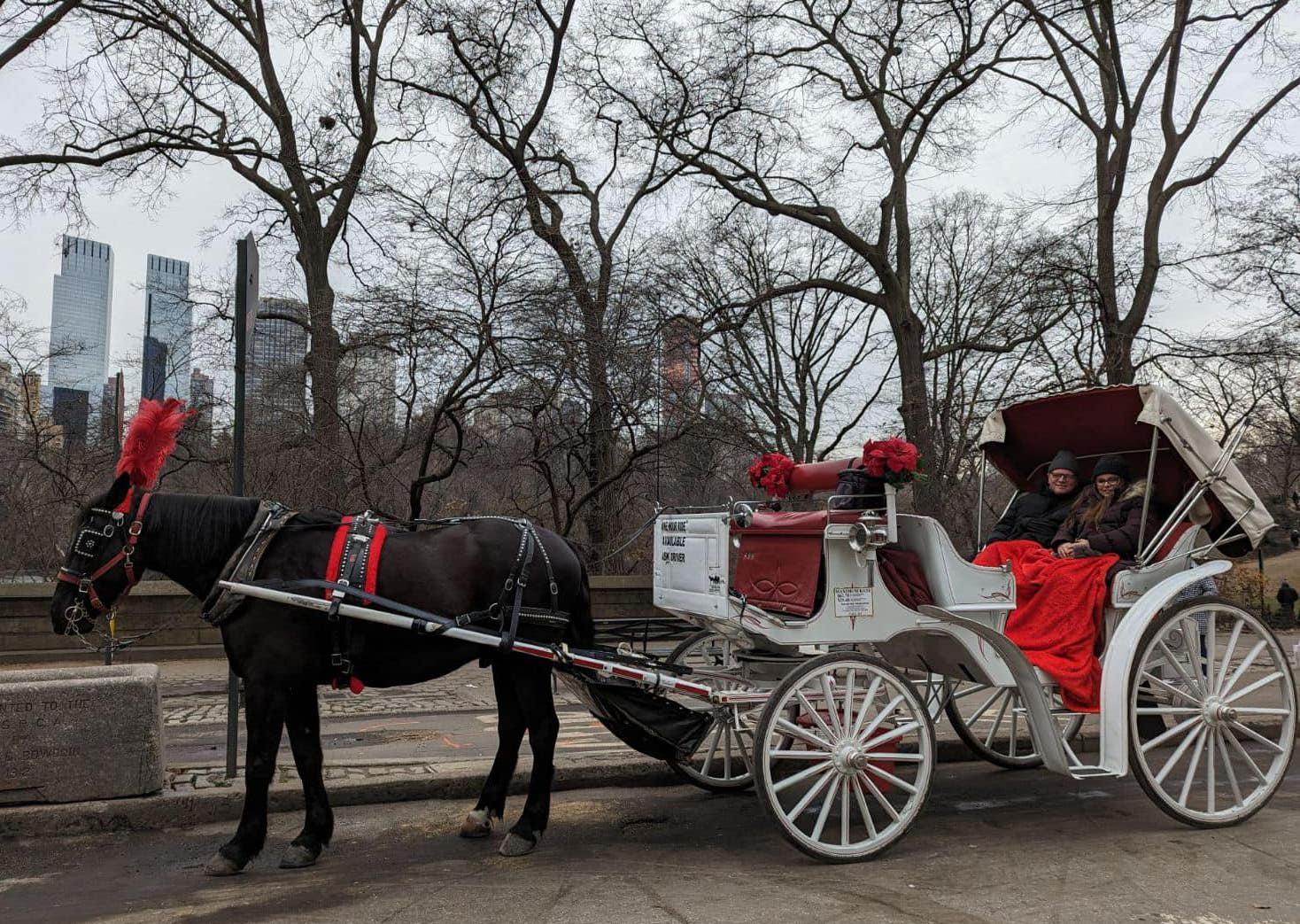 The Wedding Website of Shannon Van Meter and Josh Byrne