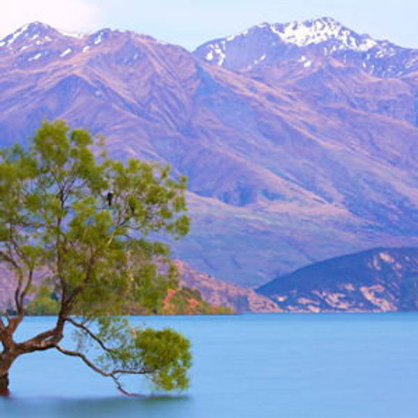 The Mountains, Lakes & Towns of New Zealand's South Island