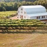 Qualusi Vineyards