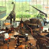 Maryland Science Center