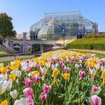 Phipps Conservatory and Botanical Gardens