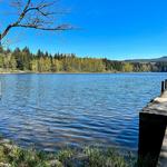 Lake Padden