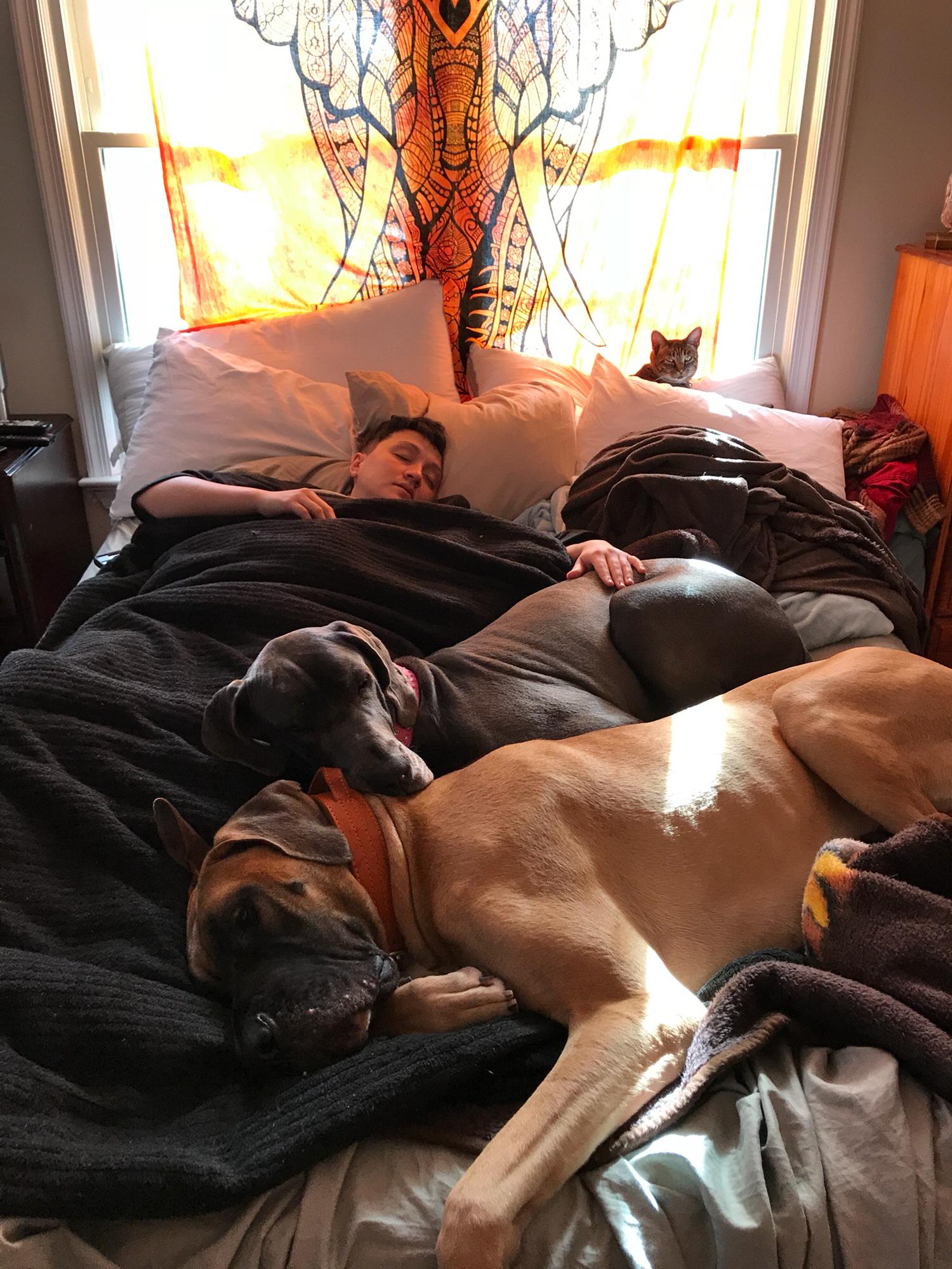 Incase anyone was ever curious as to what 260 lbs of dog, a cat, and a person look like when crammed into 1 queen sized bed. Here you go! Angela won’t be happy with this one...
