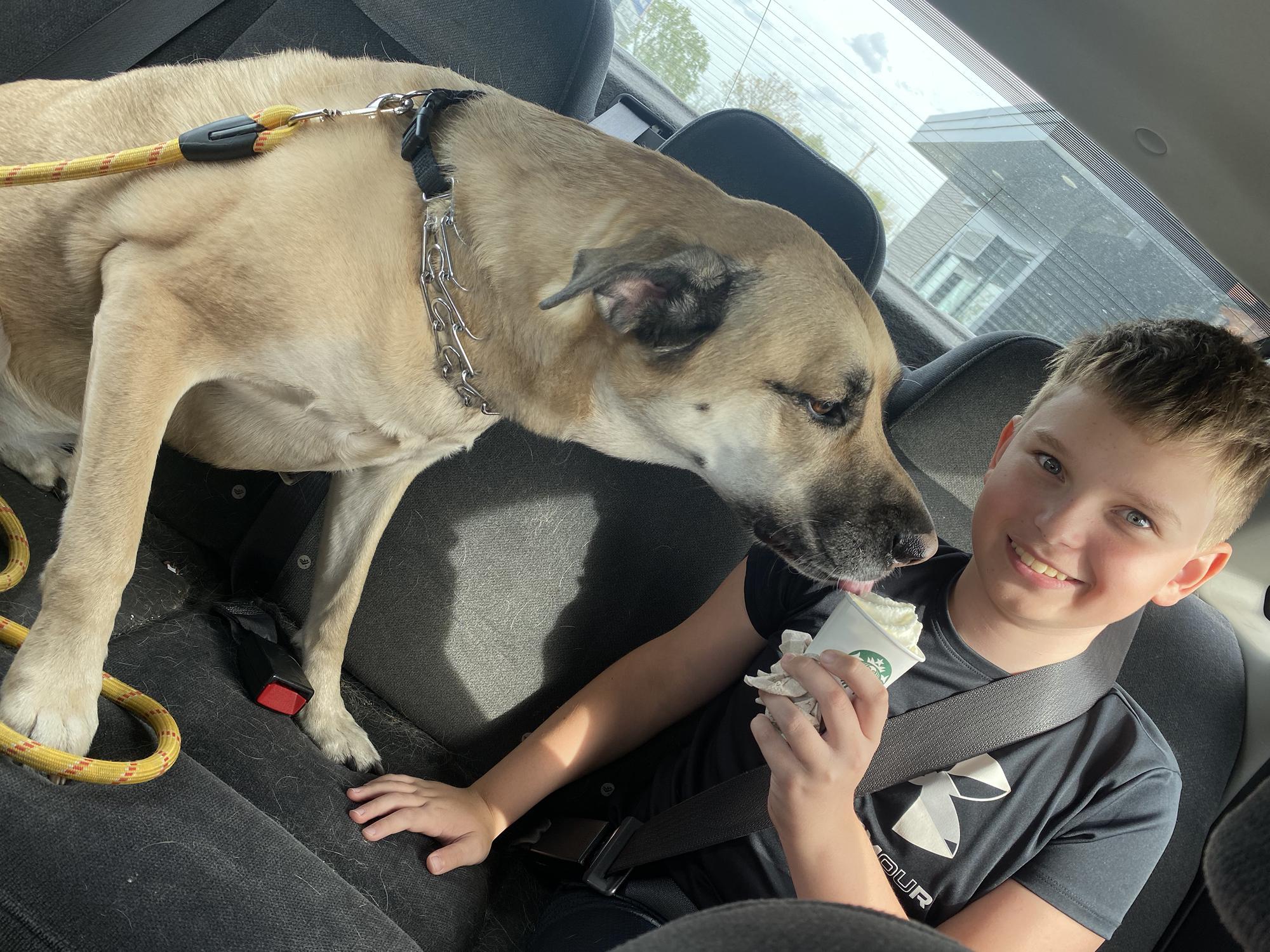 Brayden and Tiffany celebrated Moose's birthday with a pup cup from Starbucks