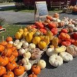 Flinchbaugh’s Orchard & Farm Market