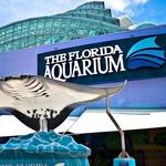 The Florida Aquarium