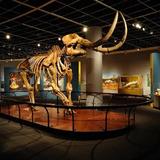 The State Museum of Pennsylvania