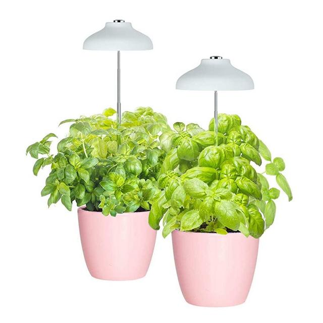 GrowLED LED Umbrella Plant Grow Light, Herb Garden, Height Adjustable, Automatic Timer, UL Adapter Included, Ideal for Plant Grow Novice Or Enthusiasts, Various Plants, DIY Decoration, Pack of 2