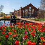 Missouri Botanical Garden