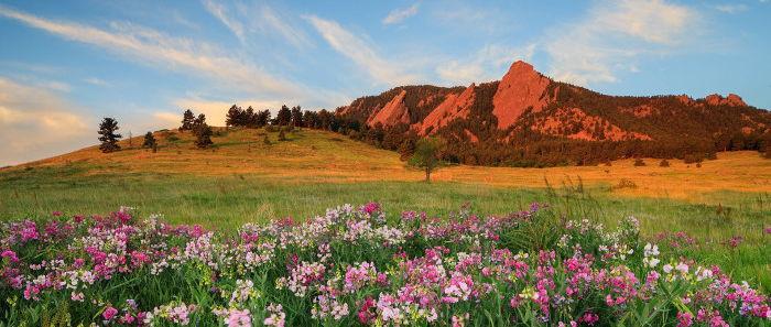 The Wedding Website of Shawn Wheeler and Bryson May