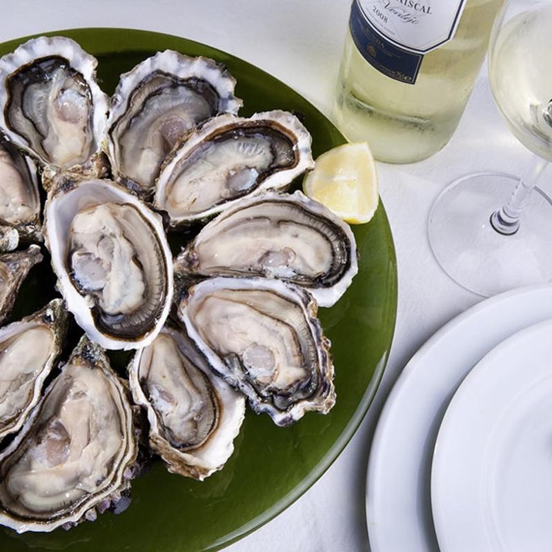 Degustación de Ostras - Ston