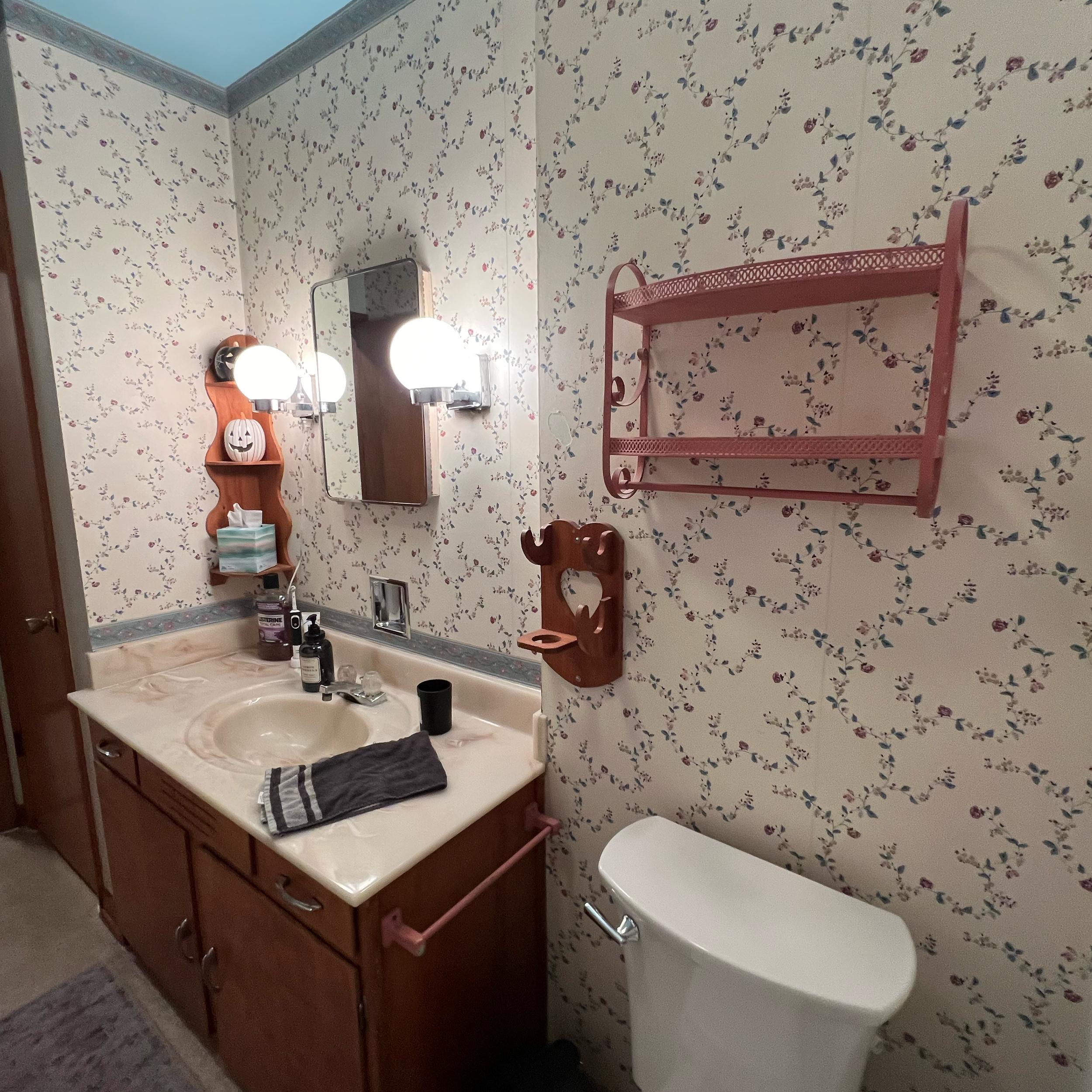 Renovating Our Bathroom
