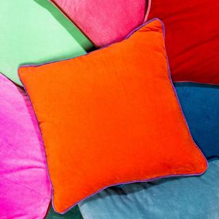 Charliss Velvet Throw Pillow